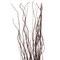 Uniquewise 12 pcs Natural Decorative Dry Branches Authentic Sticks, Home Decoration and Wedding Craft, DIY Greenery Plants Craft Vases fillers Garden Hotel Farmhouse Decor